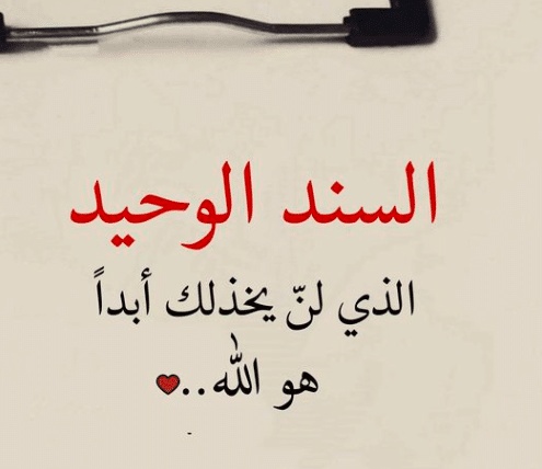 اقوال وحكم عن السند