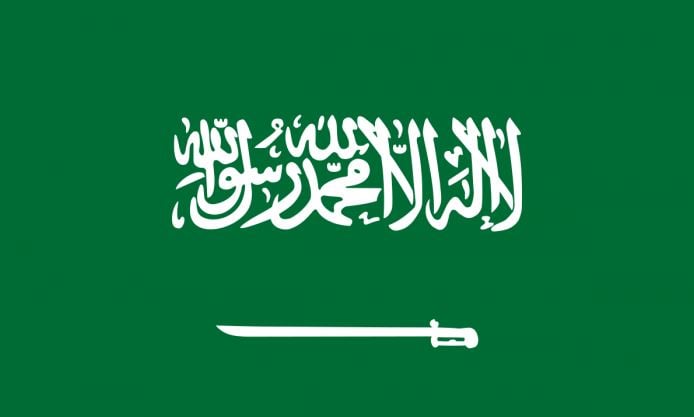 الاستعلام عن المخالفات المرورية للمركبات