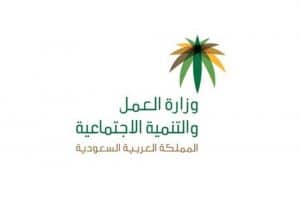الاستعلام عن نطاق المؤسسة برقم الهوية