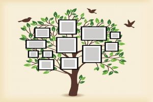 التعرف على شجرة العائلة