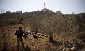 السياحة في فلسطين