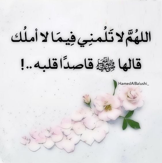 اللهم هذا قسمي فيما أملك فلا تلمني فيما تملك ولا أملك 