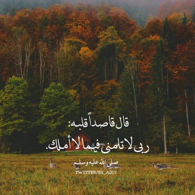 اللهم هذا قسمي فيما أملك فلا تلمني فيما تملك ولا أملك 