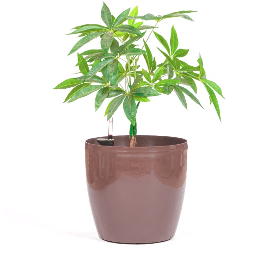 اماكن بيع احواض الزرع في جدة