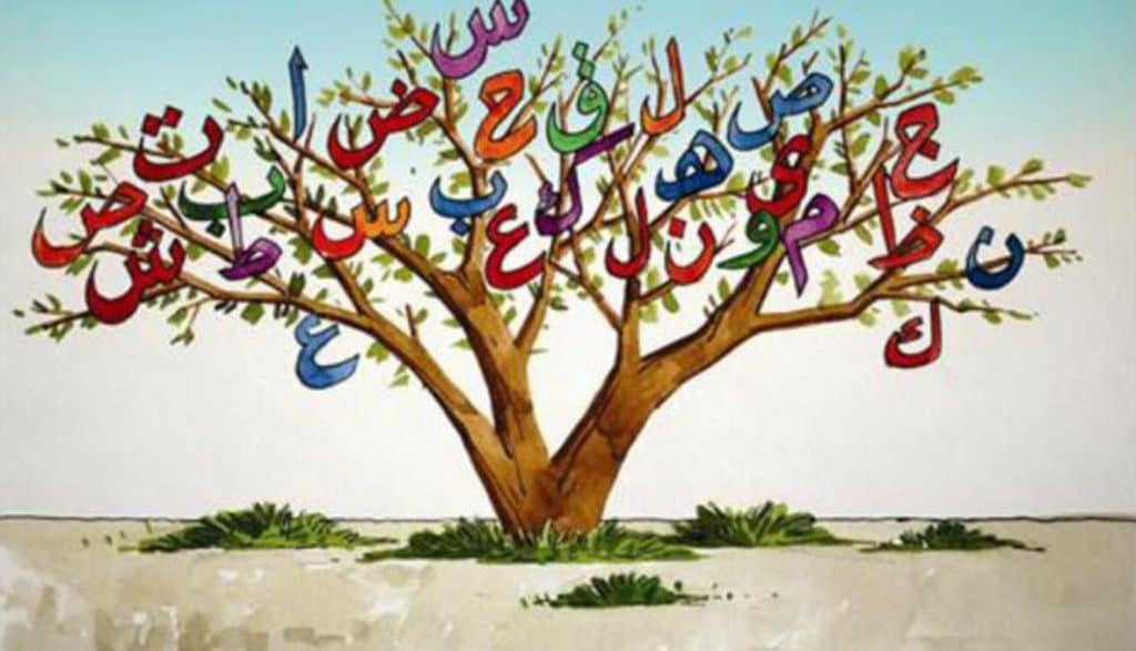امثلة على جمل خبرية
