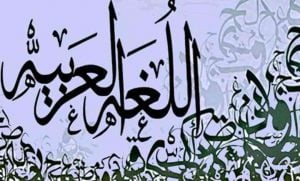 امثلة على جمل خبرية