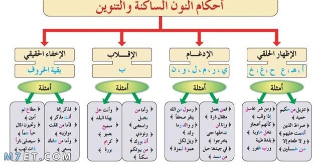 امثلة عن النون الساكنة والتنوين
