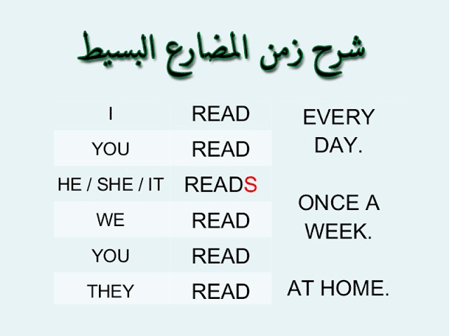 امثلة عن زمن المضارع البسيط