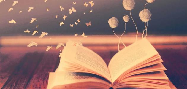 امثلة عن شبه الجملة