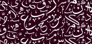 امثلة عن فعل مضارع مبني على السكون