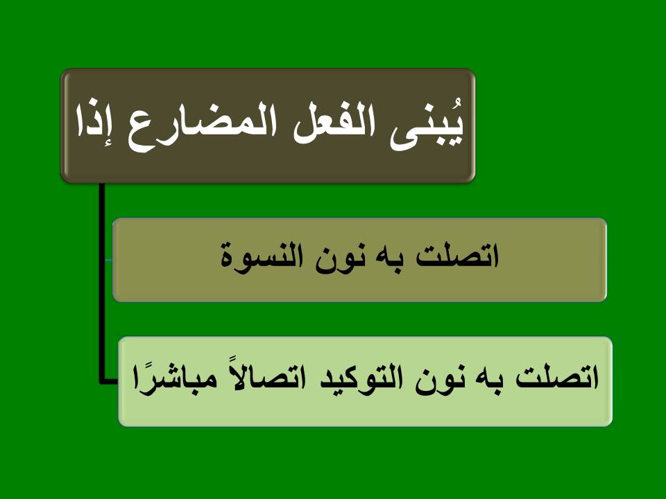 امثلة عن فعل مضارع مبني على السكون