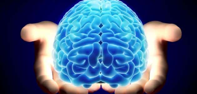 بحث جامعي عن الذكاء