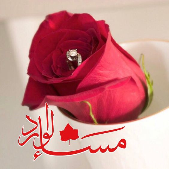 بوست مساء الخير