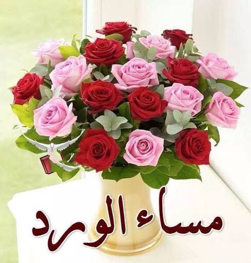 بوست مساء الخير