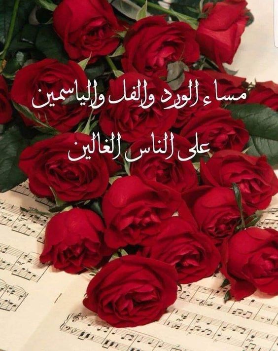 بوست مساء الخير