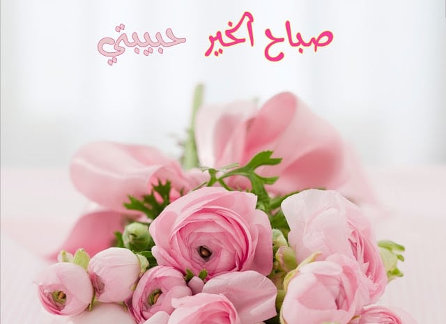 بوستات صباح الخير حبيبتي