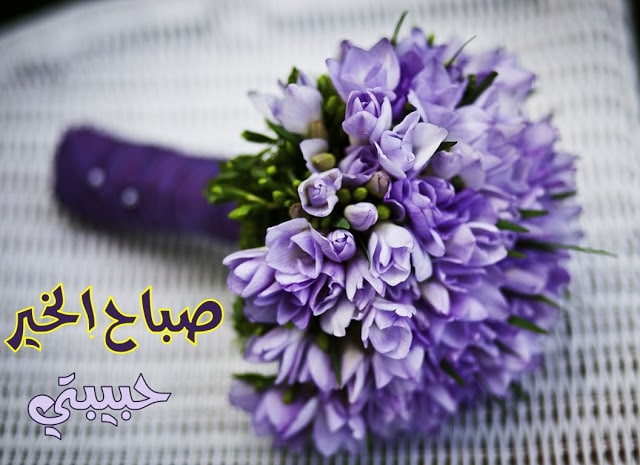 بوستات صباح الخير حبيبتي