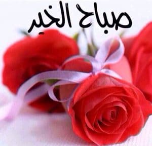 بوستات صباح الخير حبيبي