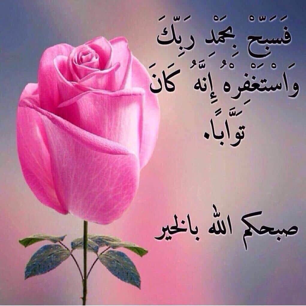 بوستات صباح الخير حبيبي