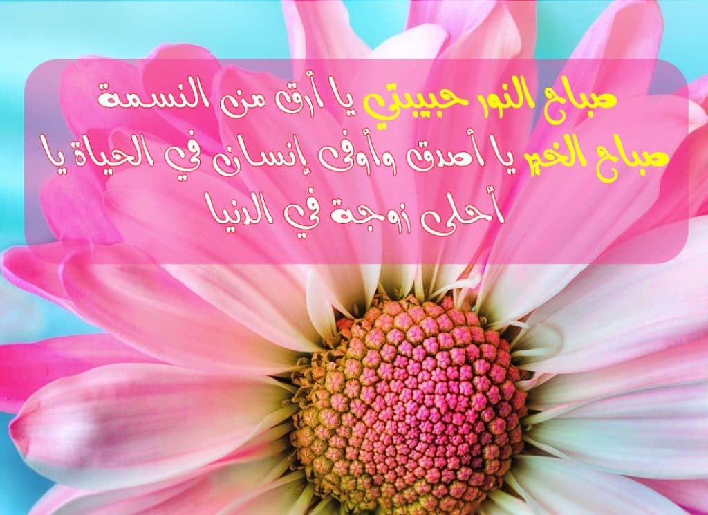 بوستات صباح الخير حبيبي