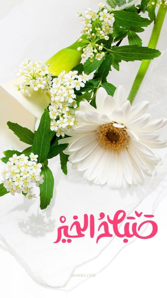 بوستات صباح الخير للاصدقاء