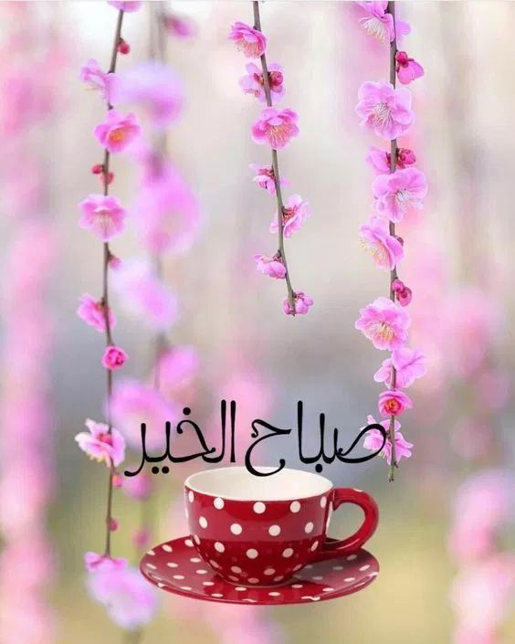 بوستات صباح الخير للاصدقاء