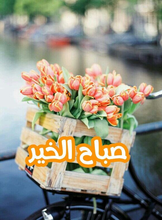 بوستات صباح الخير للاصدقاء