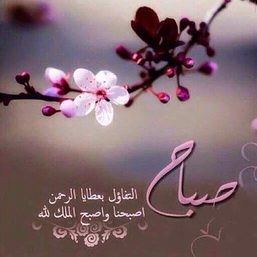 بوستات صباح الخير