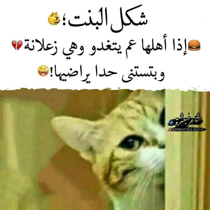 بوستات فيس بوك مضحكة