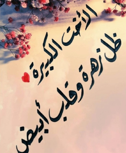 بوستات مضحكة للاخوات