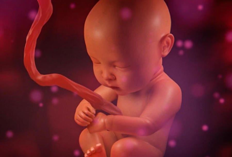 تجاربكم مع حركة الجنين في الشهر التاسع