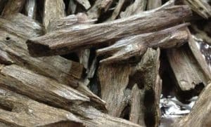 تجربتي مع بخور الطلح