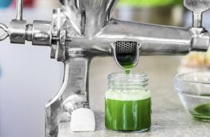 تجربتي مع عشبة القمح