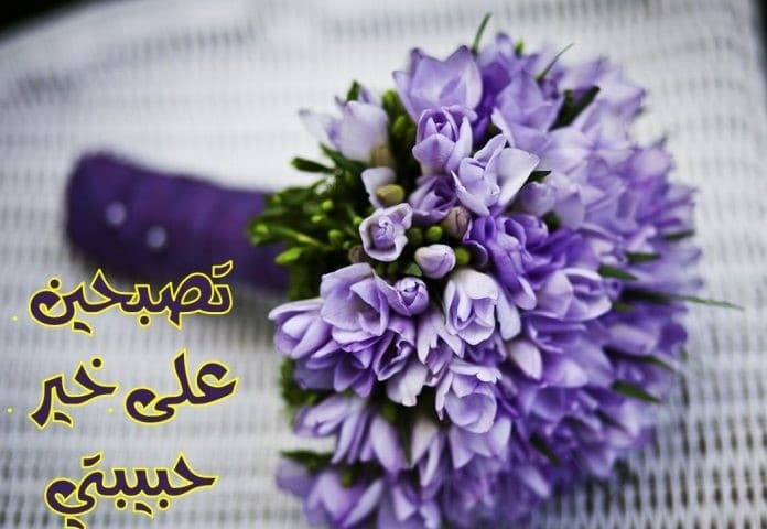 تصبحون على خير متحركة
