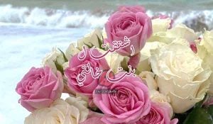 تغريدات عن بنات الخاله