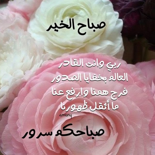 تهنئة صباحية