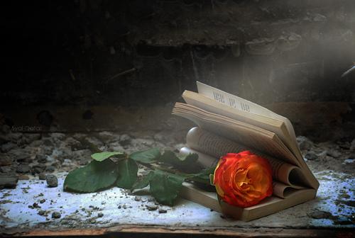 تهنئة عيد ميلادي