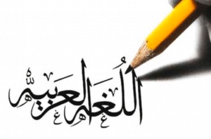جمل ب لم ولن