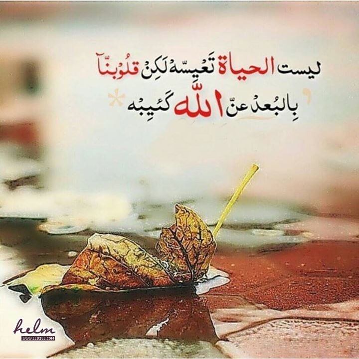 حالات واتس اب كتابة مزخرفة