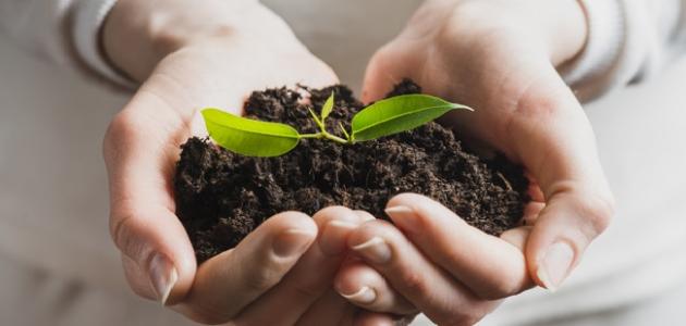 حكم وأقوال عن الخير والشَّرُ