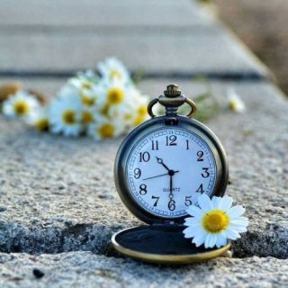 خلفيات بروفايل جديدة 2021