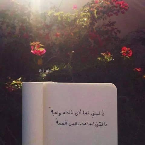 خواطر حب قصيرة روعة