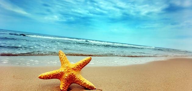 خواطر عن البحر تويتر