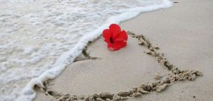 خواطر عن البحر تويتر