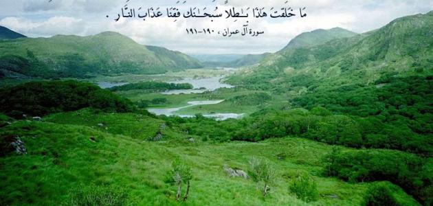 خواطر عن الجبال