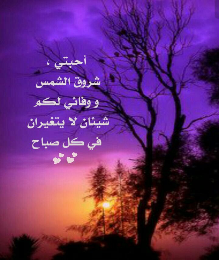 خواطر عن الشمس