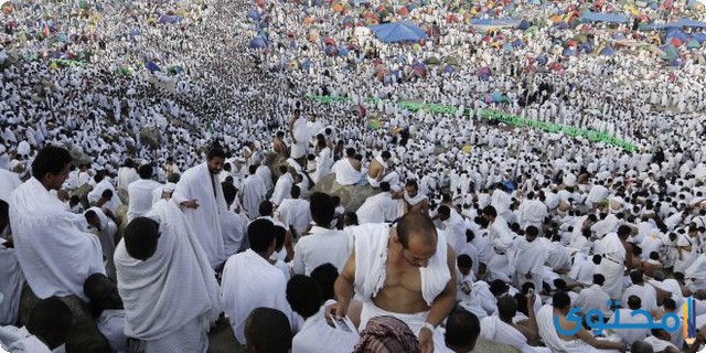 دعاء اللهم بلغنا يوم عرفة