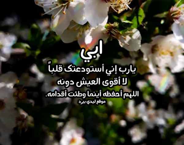 دعاء للاب الحي