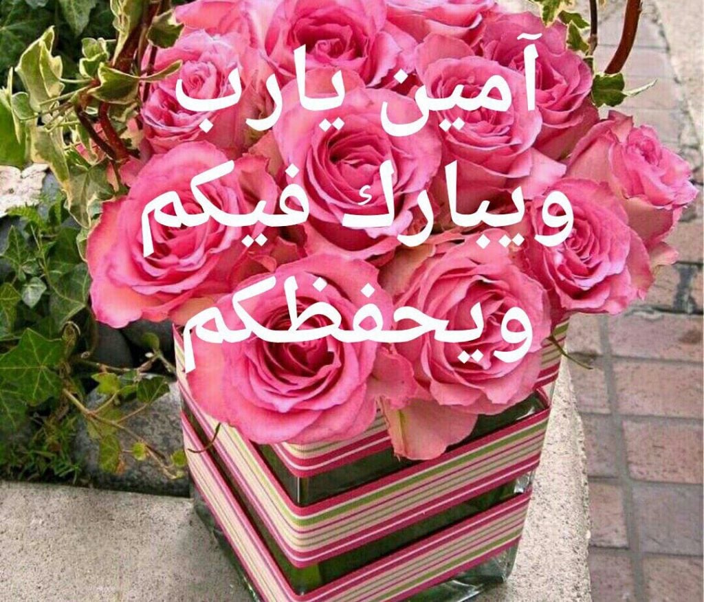 رد على بوركت