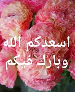 رد على بوركت